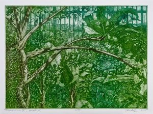 Hans-Christoph Rackwitz - Tropenhaus II